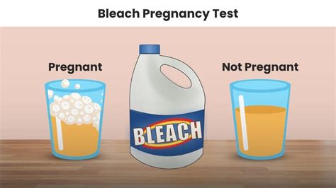 is bleach pregnancy test accurate